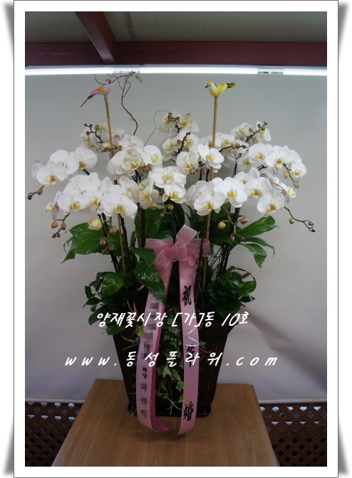 Ż絿 Ͽ콺  Ƽ  ۻԴϴ.